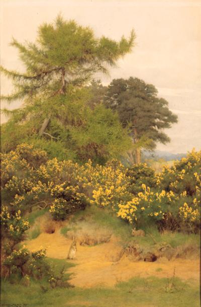George Marks - On the edge of Shere Heath