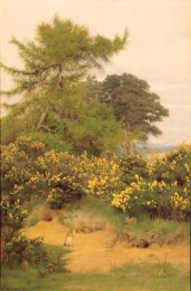 George Marks - On the edge of Shere Heath