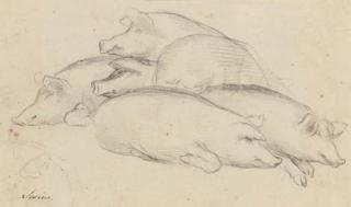 George Morland - Study of swine