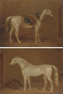 George Morley - A grey hunter in a stable; and A grey saddled hunter in a stable