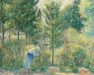 George Morren - Les Perches À Haricots