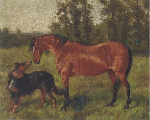 George Paice - A bay with a collie