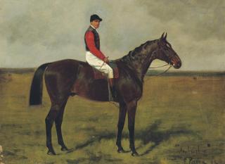George Paice - Ambush II, a Bay Racehorse with Algernon Anthony up