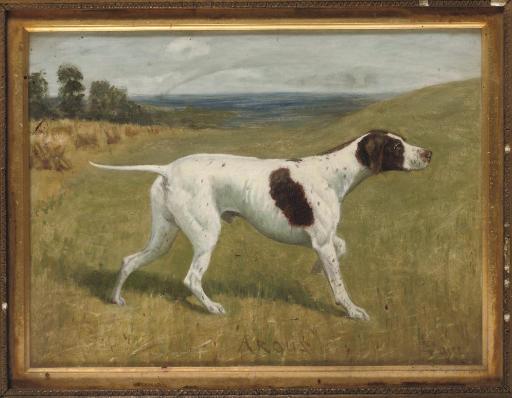 George Paice - Argus