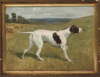 George Paice - Argus