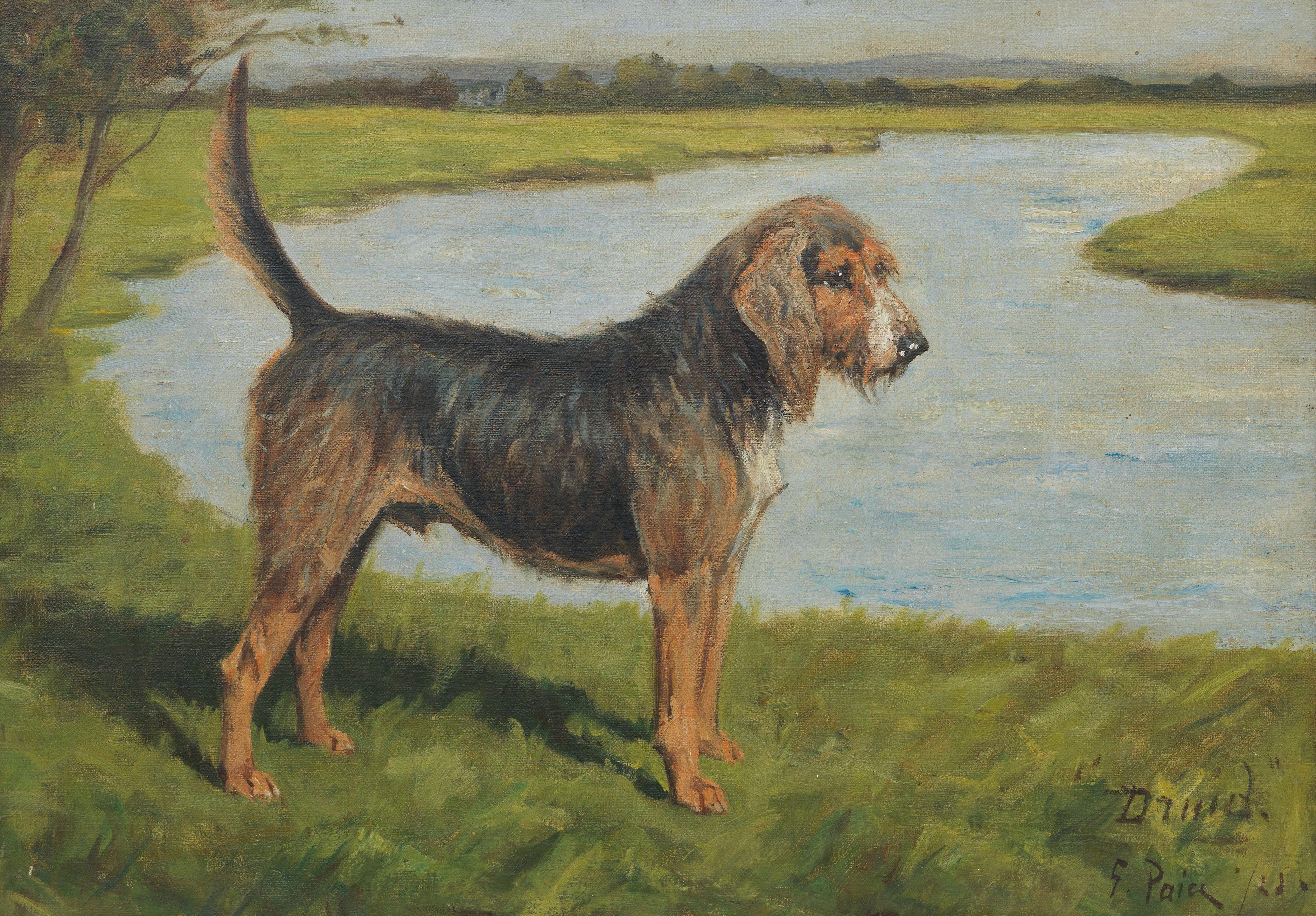 George Paice - \'Druid\' & \'Driver\'