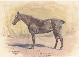 George Paice - \'Lucenie\', a bay hunter in his stable