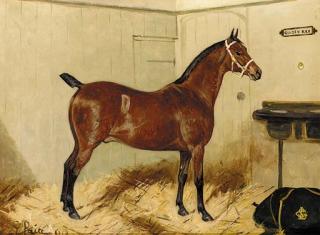 George Paice - Mighty Atom, a bay hunter in a stable; and Golden Ray, a bay hunter in a stable