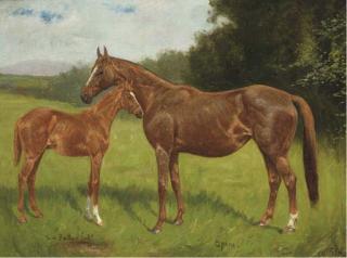 George Paice - Opera, a chestnut mare with a foal
