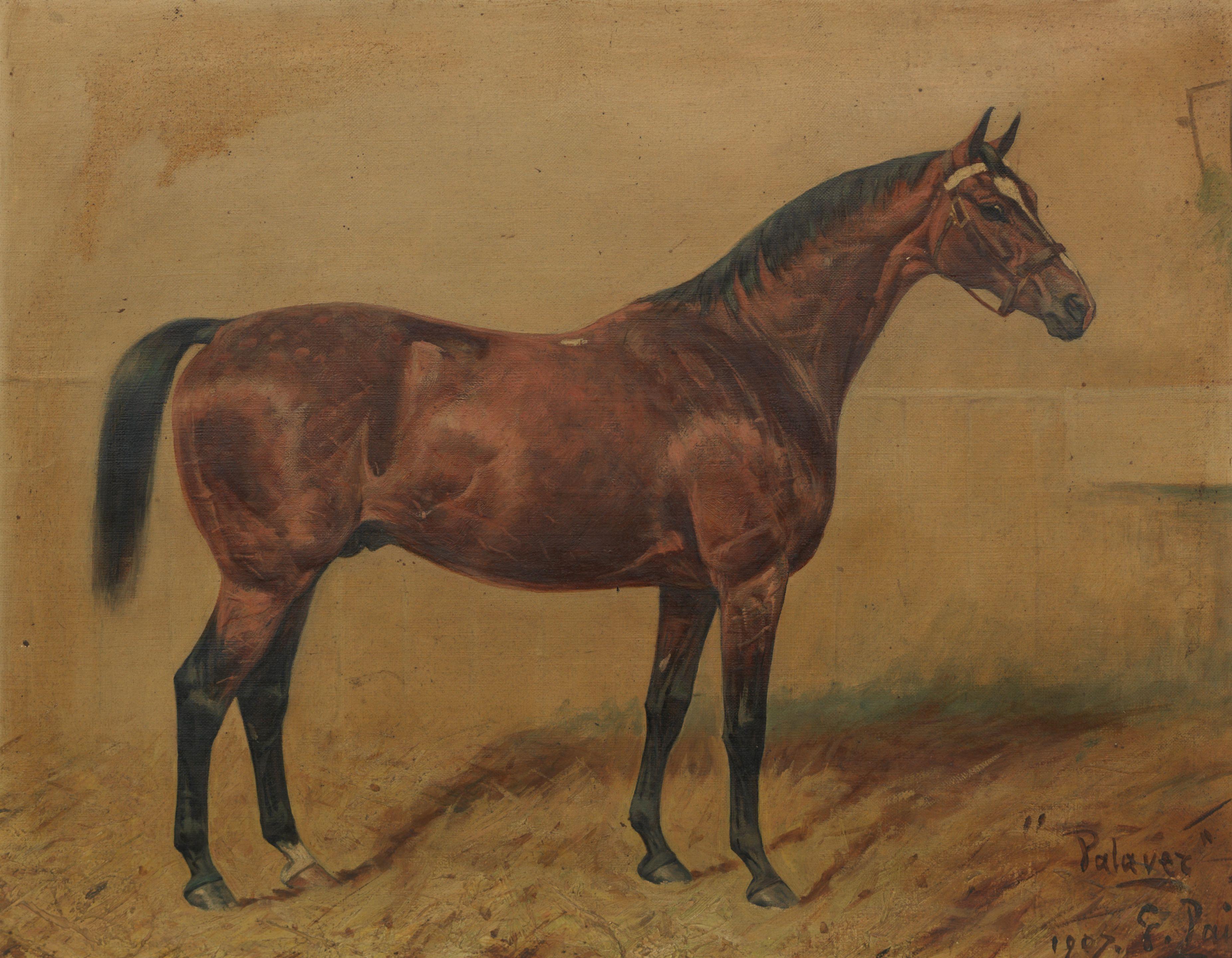 George Paice - Palaver Racehorse