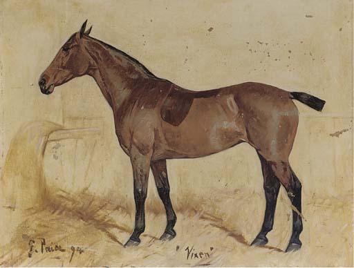 George Paice - Vixen