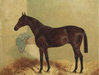 George Paice - Ypsilanti, a bay hunter in a stable