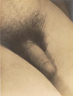 George Platt Lynes - Untitled (George Platt Lynes, Nude)