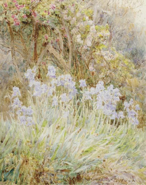 George Samuel Elgood, R.I. - Pale blue iris, Florence; and Peonies, Coddington