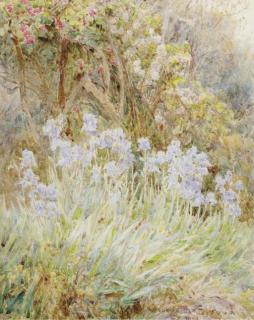 George Samuel Elgood, R.I. - Pale blue iris, Florence; and Peonies, Coddington