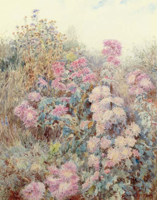 George Samuel Elgood - In the allotment garden