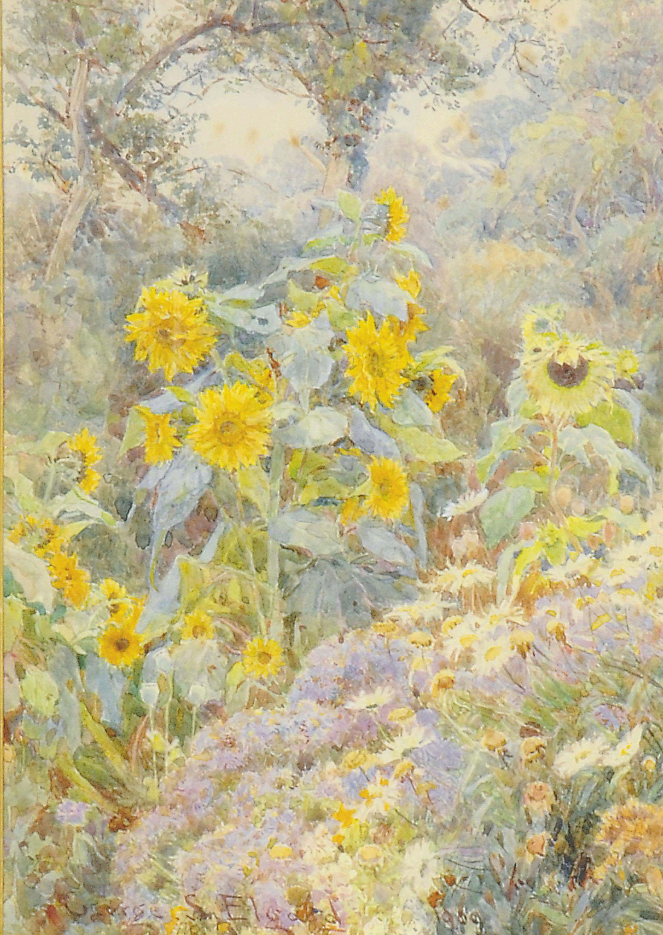 George Samuel Elgood - Sunflowers