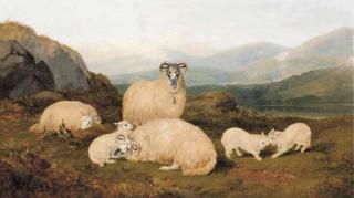 George Shalders - Ewes and lambs in a Highland landscape