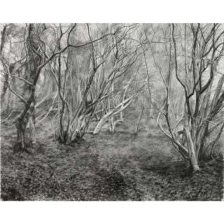 George Shaw - Almost Lost (Ii)