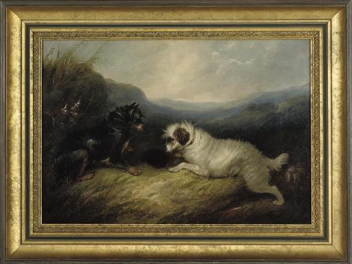 George Smith Armfield - Terriers At A Rabbit Hole