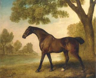 George Stubbs, A.R.A. - A bay hunter in a wooded river landscape