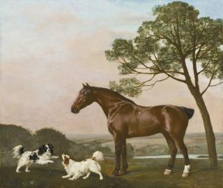 George Stubbs, A.R.A. - A bay hunter with two playful spaniels