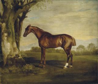 George Stubbs, A.R.A. - Antinoüs, a chestnut racehorse, in a landscape