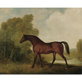 George Stubbs A.R.A. - British Ambrosio, A Bay Stallion, The Property Of Thomas Haworth