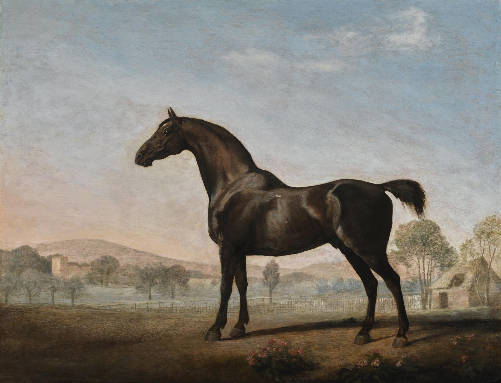George Stubbs, A.R.A. - Lord Grosvenor\'S Sweet William In A Landscape 
