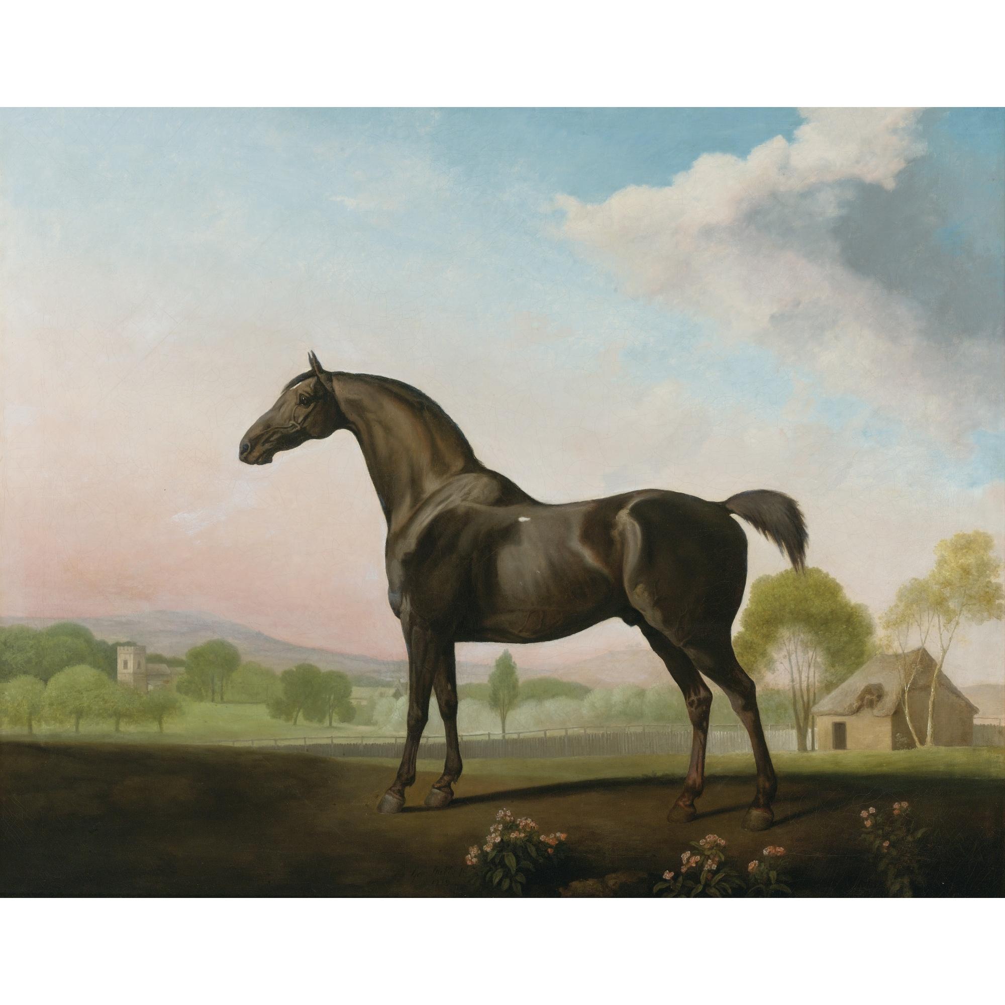 George Stubbs, A.R.A. - Lord Grosvenor\'S Sweet William In A Landscape