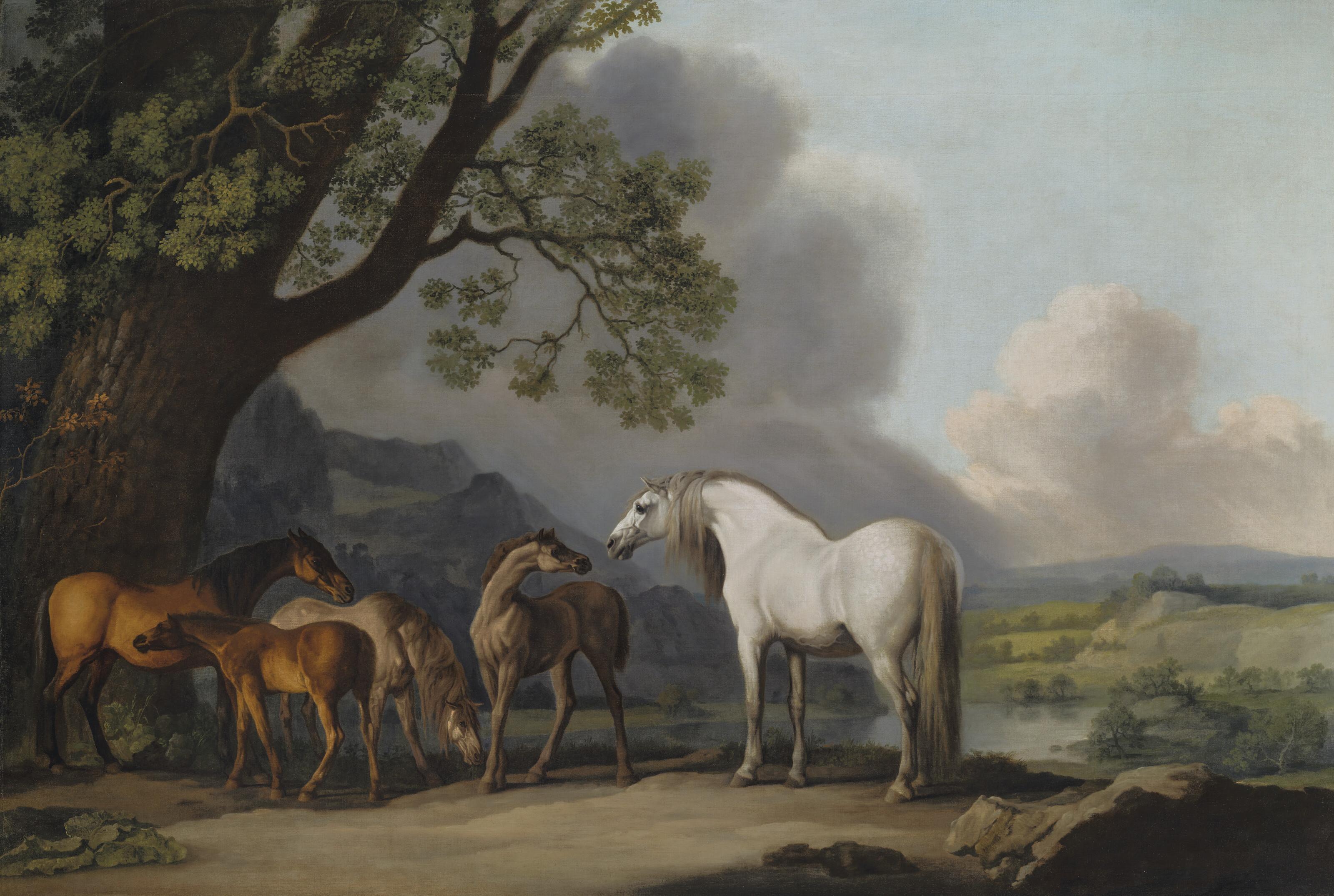 George Stubbs, A.R.A. - Mares and Foals in an extensive landscape