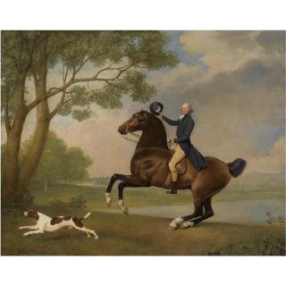 George Stubbs, A.R.A. - Portrait Of Baron De Robeck Riding A Bay Hunter