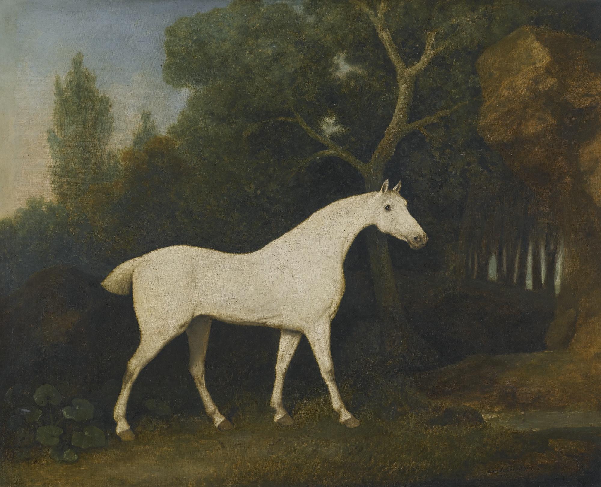 George Stubbs, A.R.A. - Selim, A Grey Hunter In A Paddock