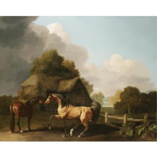 George Stubbs, A.R.A. - Stallion And Mare
