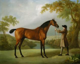 George Stubbs, A.R.A. - Tristram Shandy, a bay racehorse held by a groom, in an extensive landscape