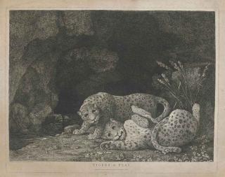George Stubbs, A.R.A. - Tygers at Play