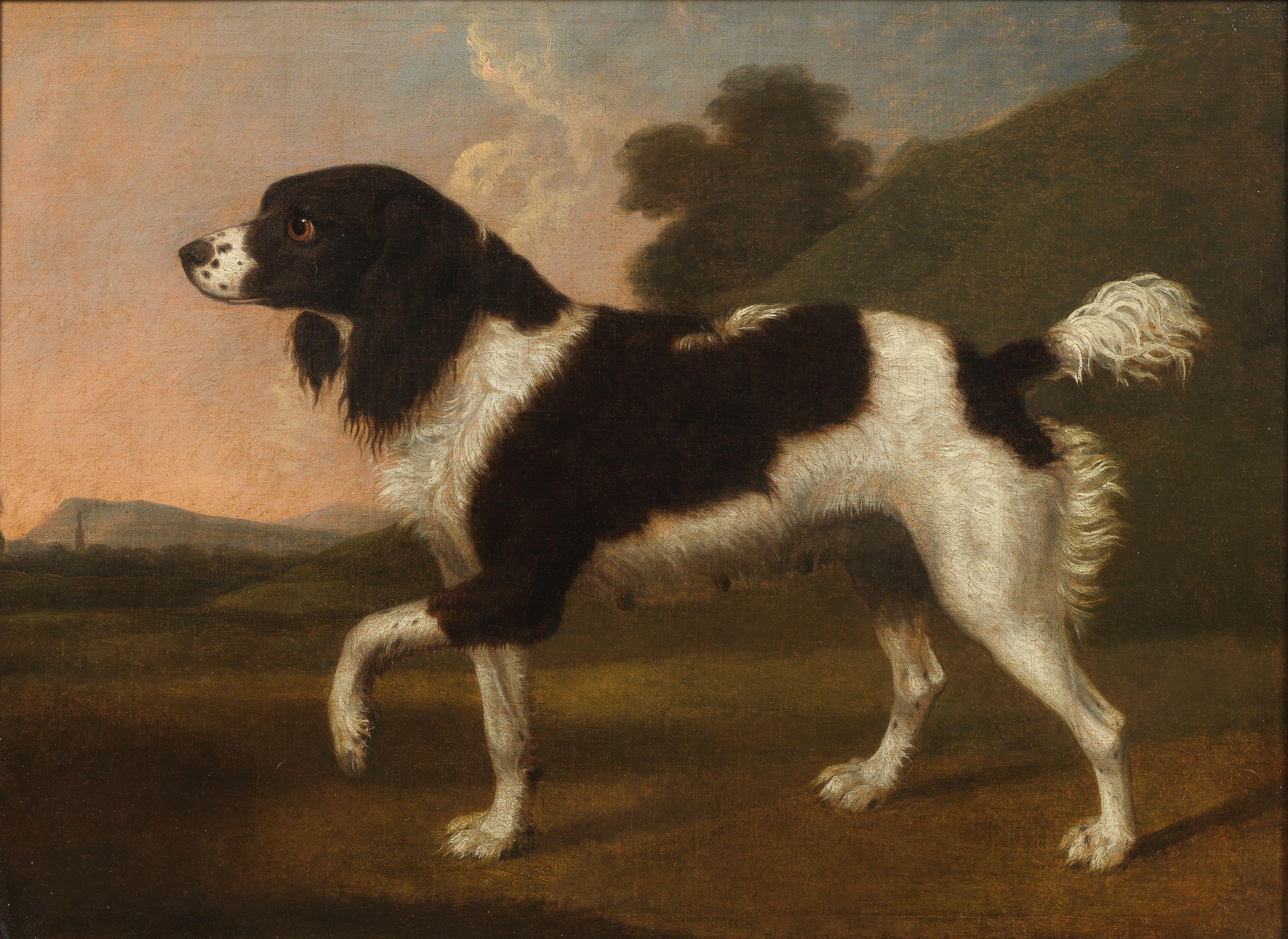 George Stubbs ARA - A black and white spaniel pointing to the left, in a wooded landscape with a church spire beyond