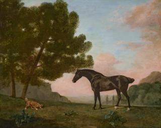 George Stubbs - A dark bay horse facing left, with a golden spaniel scenting the ground