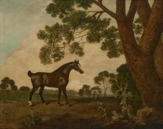 George Stubbs - A dark bay horse facing right, beside a large oak tree
