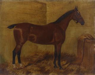 George Thomas Paice - A group of five horse portraits