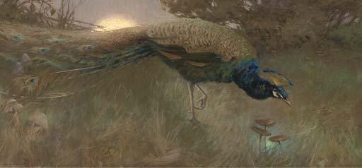 George Vernon Stokes, R.B.A., R.M.S. - Peacock At Twilight