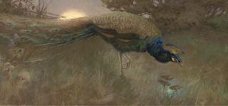 George Vernon Stokes, R.B.A., R.M.S. - Peacock At Twilight