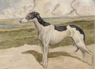 George Vernon Stokes, R.B.A. - Greyhound in a landscape