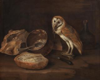 George William Sartorius - A kitchen still life with a barn owl