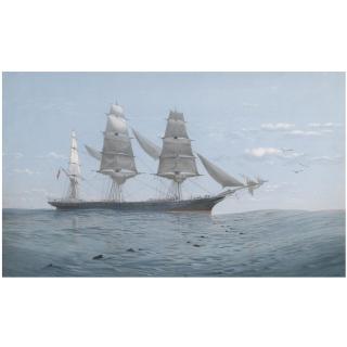 George Wolfe - In The Tropics