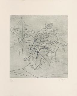 Georges Braque - Le Lierre (Ivy)