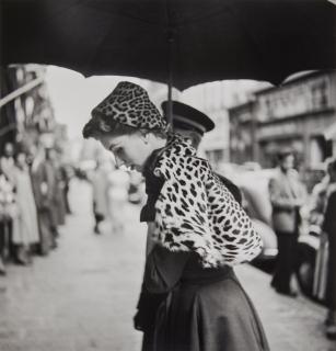 Georges Dambier - Suzy Parker, Etole Leopard, \