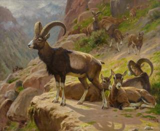 Georges Frédéric Rotig - Mountain Goats