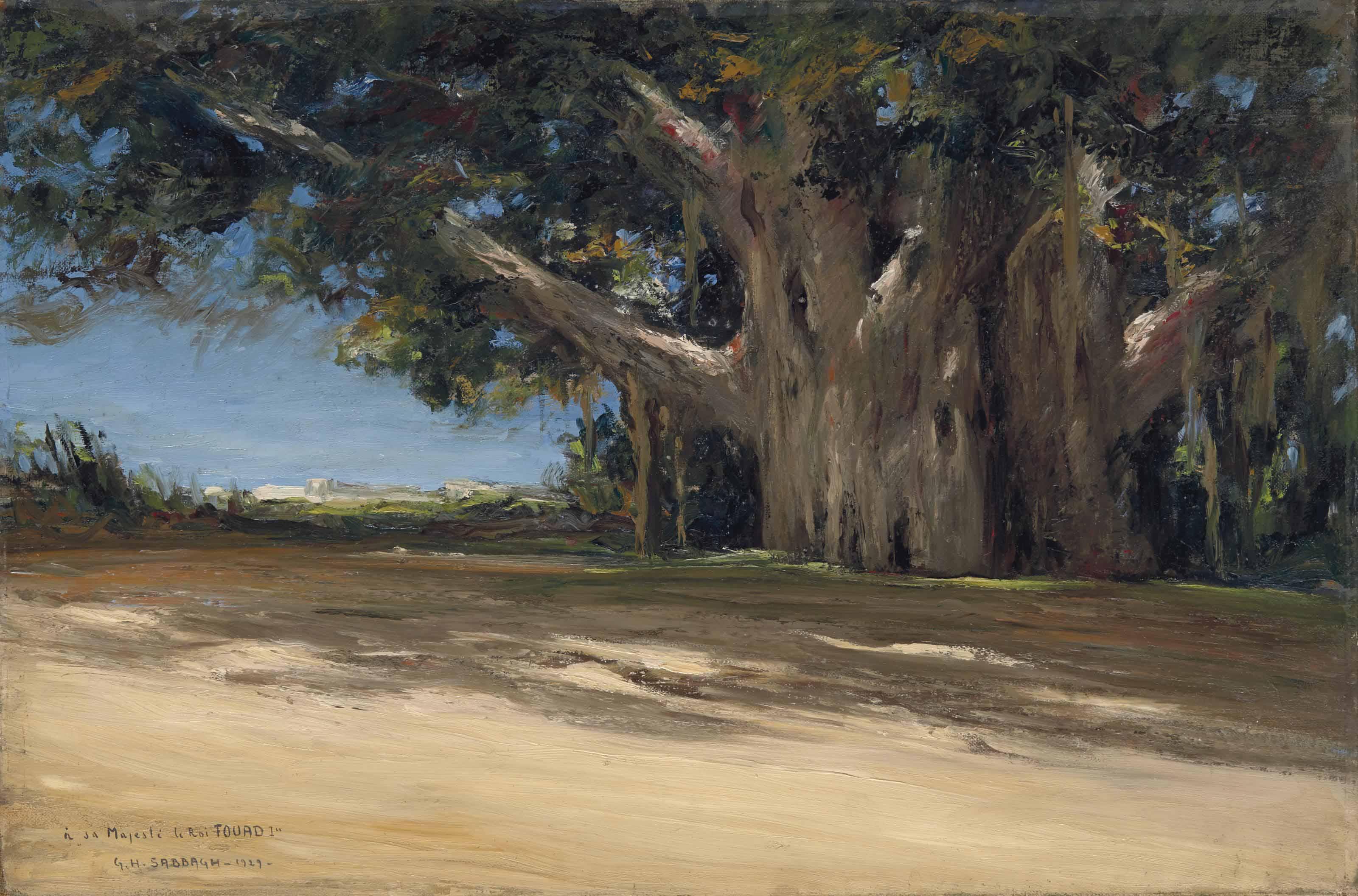 Georges Hanna Sabbagh - Les Sycomores du Vieux Caire (Old Cairo\'s Sycamore Trees)
