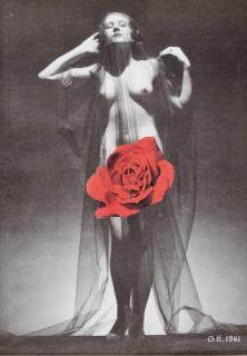 Georges Hugnet - Sans Titre (Rose Rouge)